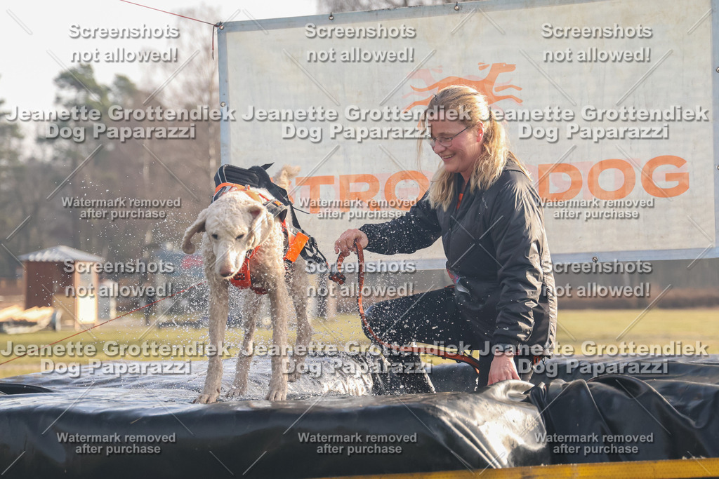 Dog Paparazzi - SD North 0326 900930-189 | Dog Paparazzi Jeanette Grottendiek Fotografie & Videografie - Realisiert mit Pictrs.com