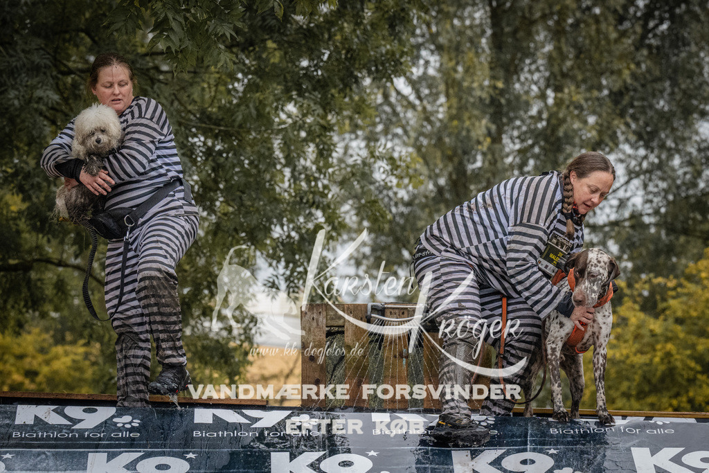 1145_ZZ93420 | kk-dogfotos