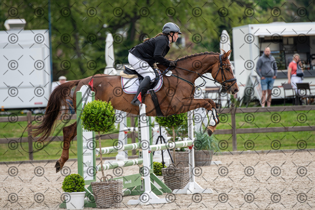 KPT_2103 | andre_photographic