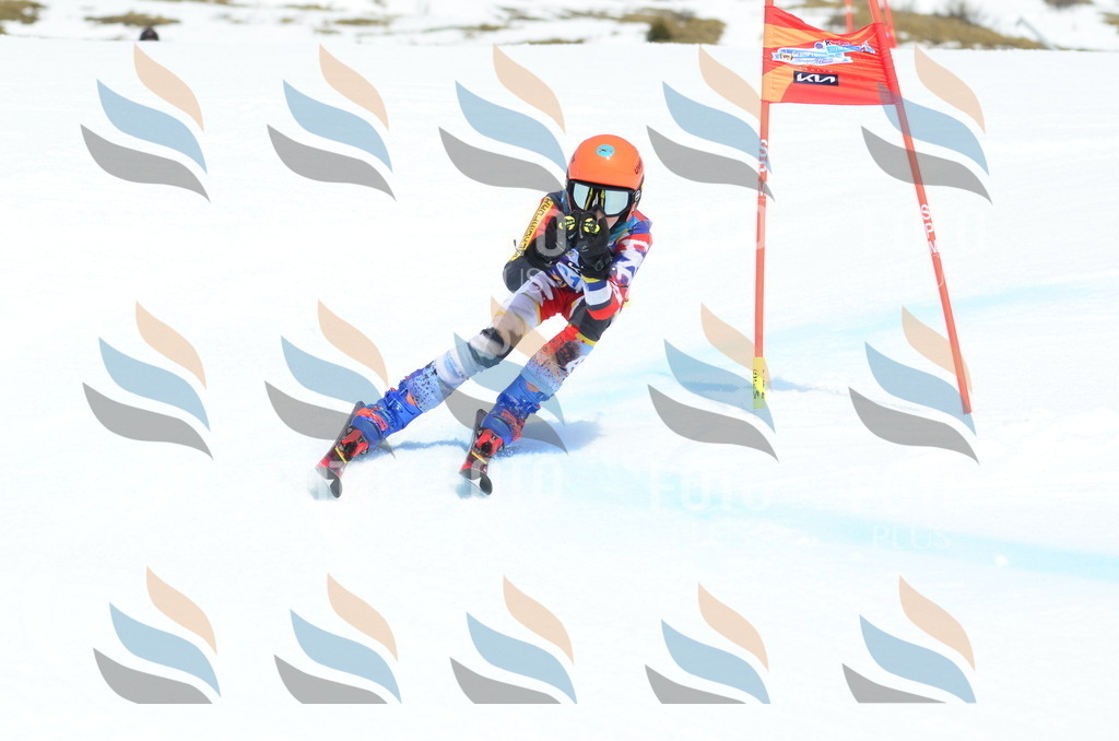 _ELE2399 | holidayphoto