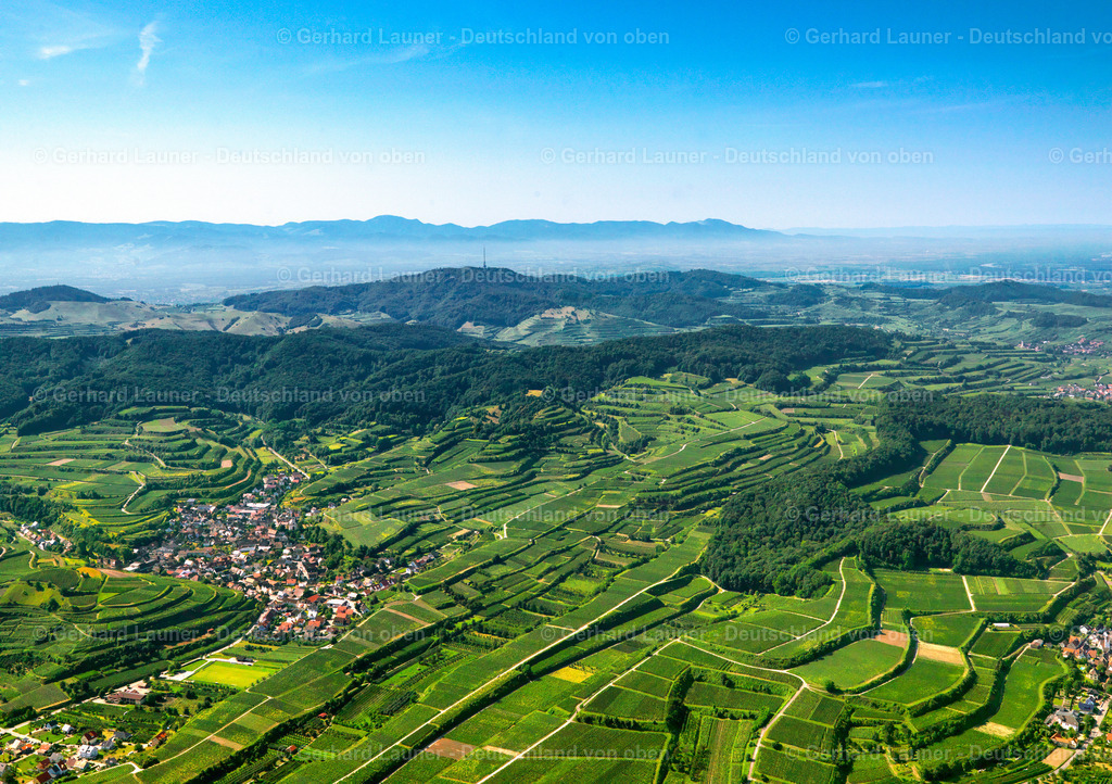 2700035 | Blick über den Kaiserstuhl bei Kichlinsbergen in Richtung Süden auf den Schwarzwald