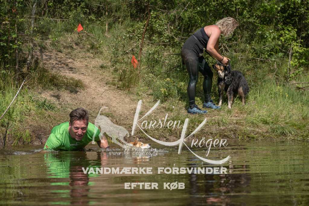 1103DKK991853 | kk-dogfotos