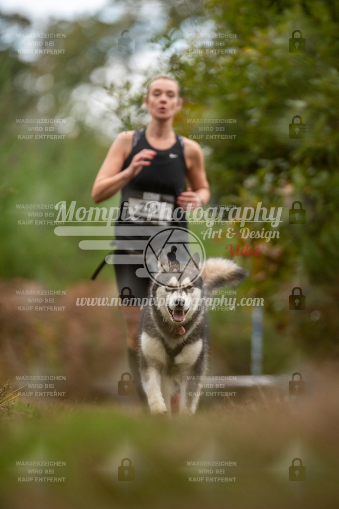 TSB_2023_E5_Canicross-36 | PayLife