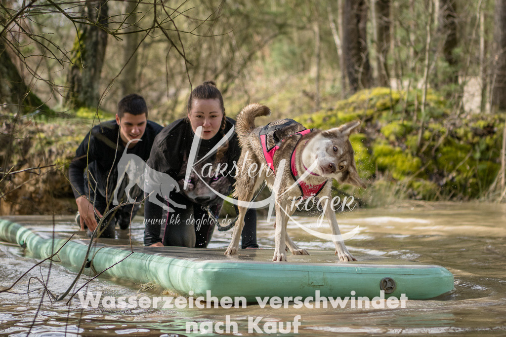 1004_ZZ92384 | kk-dogfotos