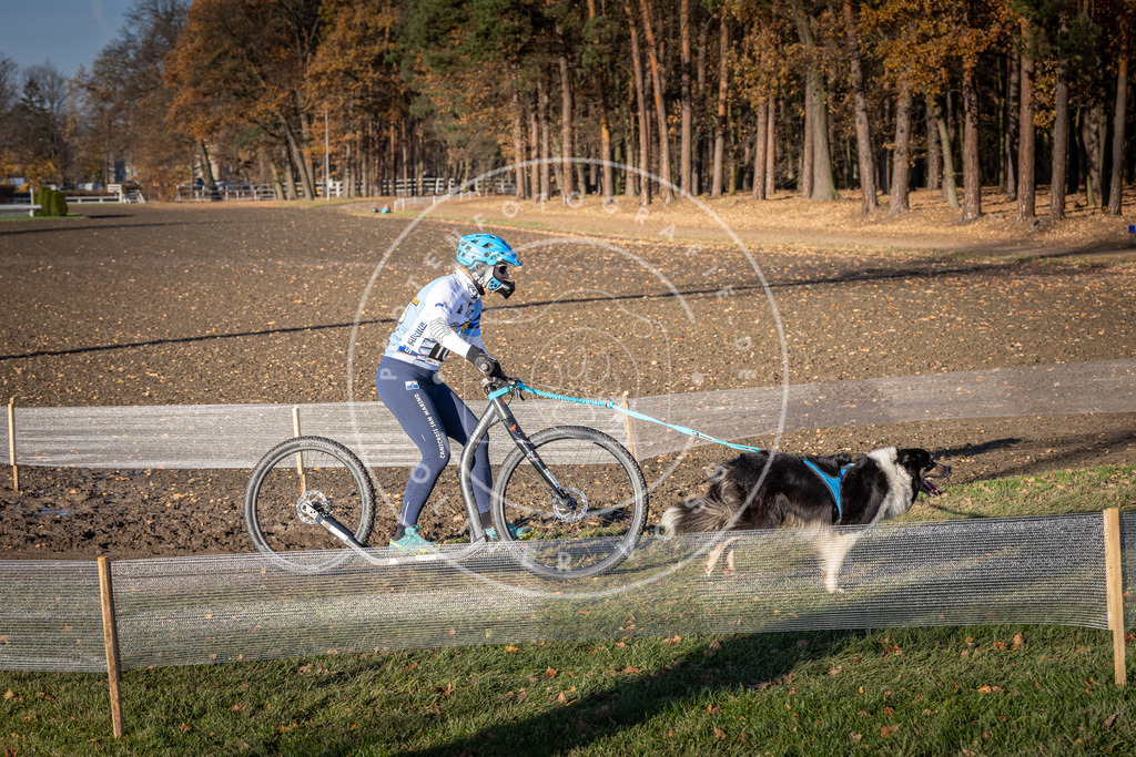 CaniXpix_DV3A2248 | Hundefotografie, Tierfotograf, Pfotenfotografie, Fotoshooting Hund, Hunde Portrait, Hundesport, Hundeportraits, Heideshooting, Hunde, Sportfotograf, Hundefotograf, Turnierhundsport, THS,  - Realisiert mit Pictrs.com