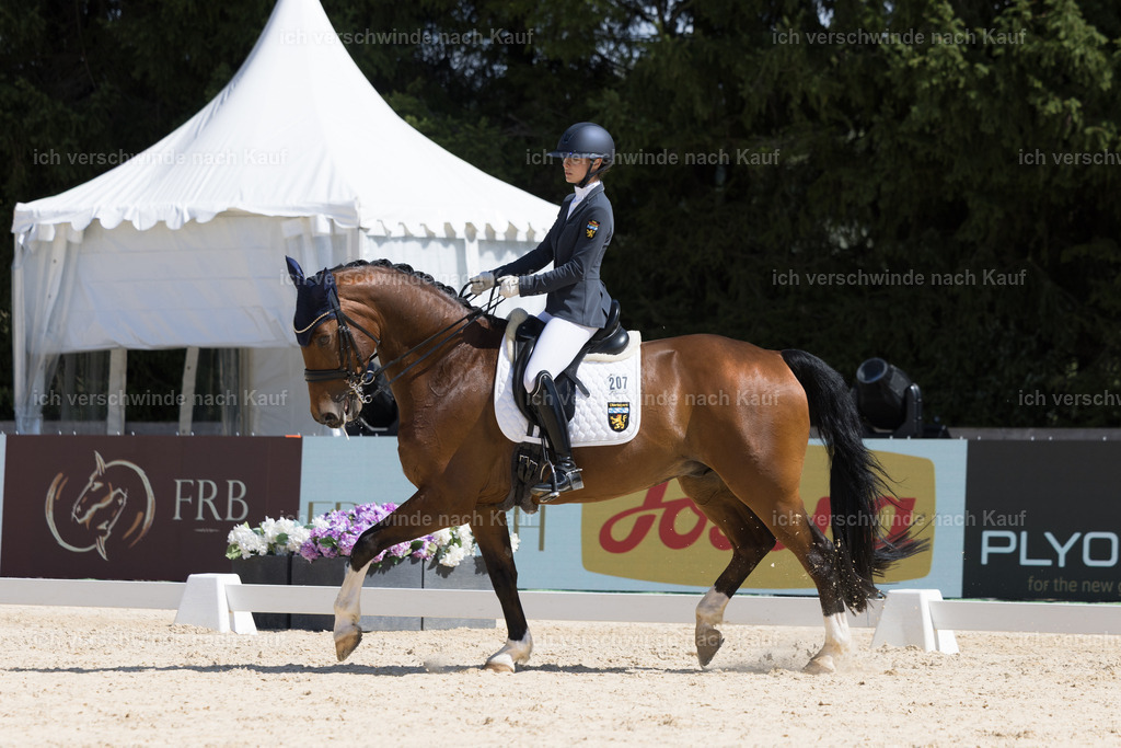 FHC2026_P02_207_13391 | Fichtenhof Classics 2026 – Dressurturnier, Reitanlage Fichtenhof, Schäftlarn