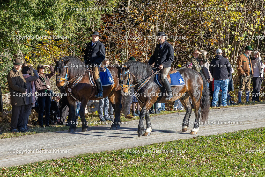 LBT25-435 | foto-bettina-krinner - Realisiert mit Pictrs.com