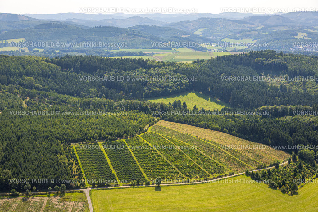 Finnentrop250807761 | Luftbild, Weihnachtsbaumaufzucht, Fernsicht und Hügellandschaft, Weringhausen, Finnentrop, Sauerland, Nordrhein-Westfalen, Deutschland