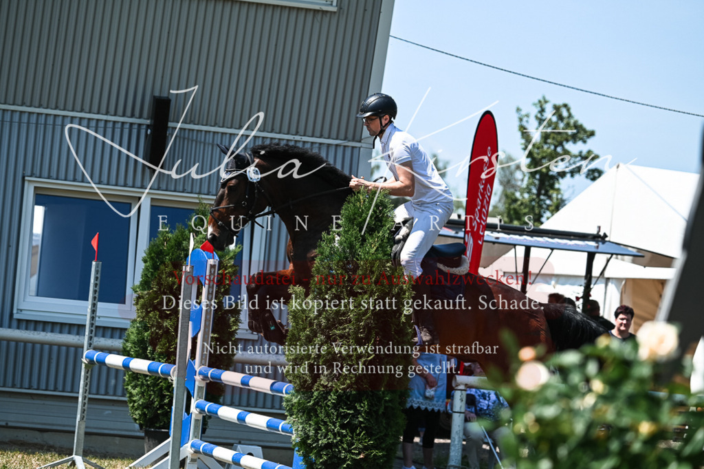 DSC_0467 | Pferde- und Turnierfotografie in Westsachsen. Pferdeportraits, Auftragszeichnungen und intuitive Kunst.
