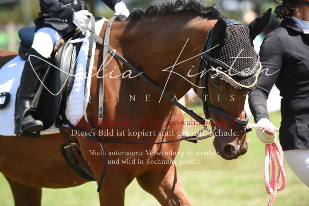 DSC_9770 | Pferde- und Turnierfotografie in Westsachsen. Pferdeportraits, Auftragszeichnungen und intuitive Kunst.