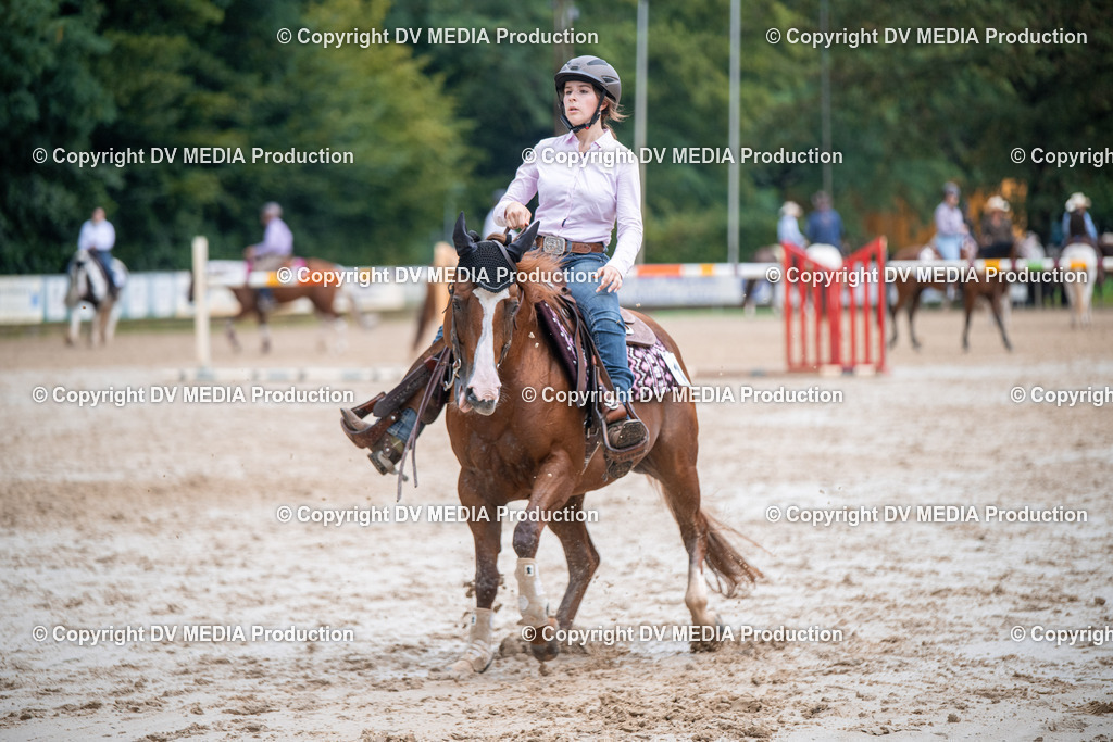 ZS2_4146 | dv-media-shop - Realisiert mit Pictrs.com