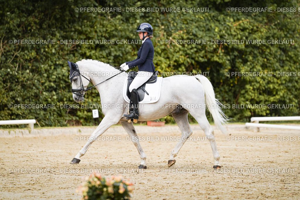 DSC02723 | Pferdegrafie