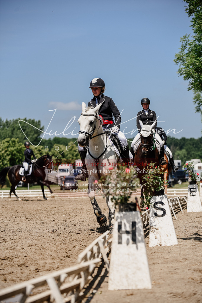 DSC_2073 | Pferde- und Turnierfotografie in Westsachsen. Pferdeportraits, Auftragszeichnungen und intuitive Kunst.