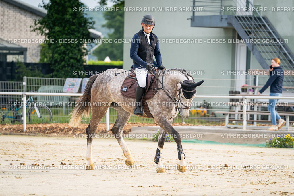 DSC08100 | Pferdegrafie