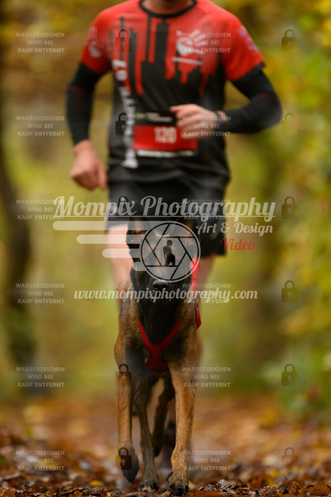 MompixPhotography_CD7S_DI_CCL-76 | mompixphotography