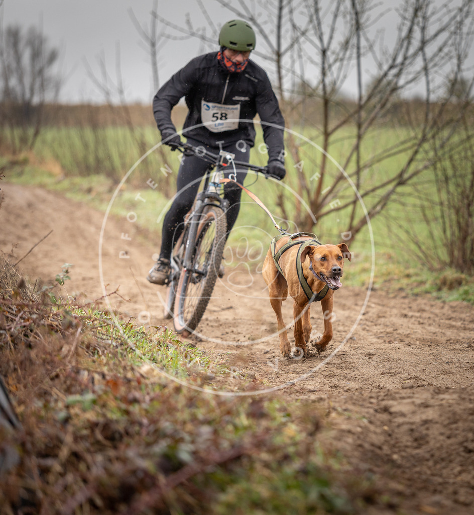 DV3A9127 | Hundefotografie, Tierfotograf, Pfotenfotografie, Fotoshooting Hund, Hunde Portrait, Hundesport, Hundeportraits, Heideshooting, Hunde, Sportfotograf, Hundefotograf, Turnierhundsport, THS,  - Realisiert mit Pictrs.com