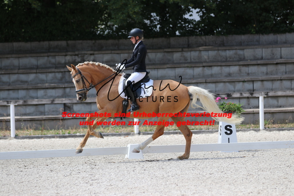 IMG_4640 | lmwpictures - Realisiert mit Pictrs.com