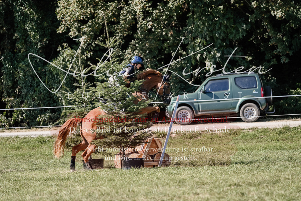 DSC_3057 | Pferde- und Turnierfotografie in Westsachsen. Pferdeportraits, Auftragszeichnungen und intuitive Kunst.