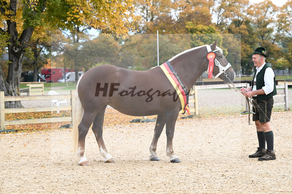 Kat-Nr. 56 Monamour_Buechl_53223010 | hf-fotografie - Realisiert mit Pictrs.com