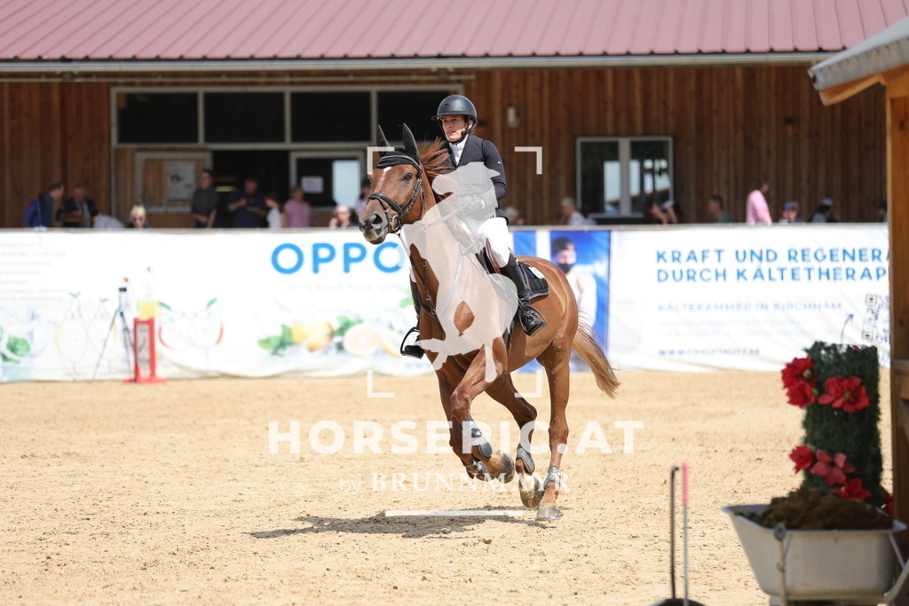 0P6A4427 | Willkommen bei Brunnmayr - Design & Fotografie – Ihrem Spezialisten für Reitturniere und Pferdeveranstaltungen in Oberösterreich, Salzburg und Bayern! Seit über 17 Jahren sind wir leidenschaftlich dabei.