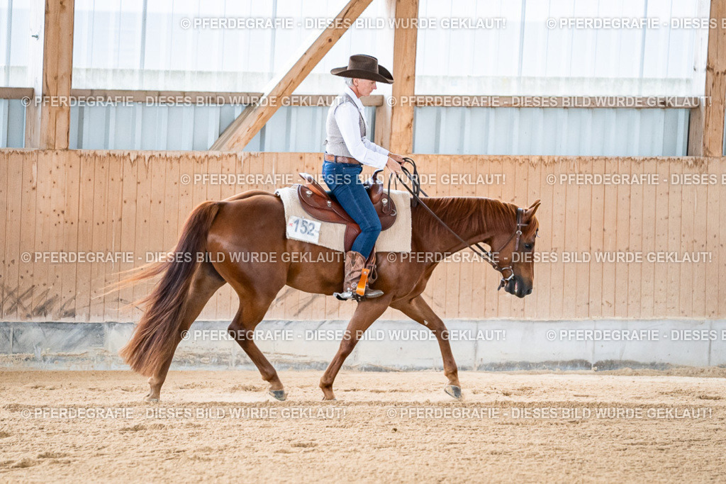 DSC07862 | Pferdegrafie