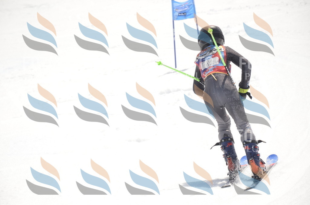 _ELE9215 | holidayphoto