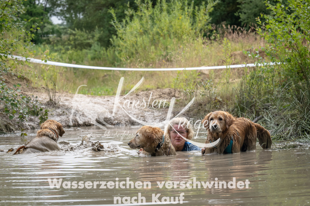 1454_ZZ94253 | kk-dogfotos