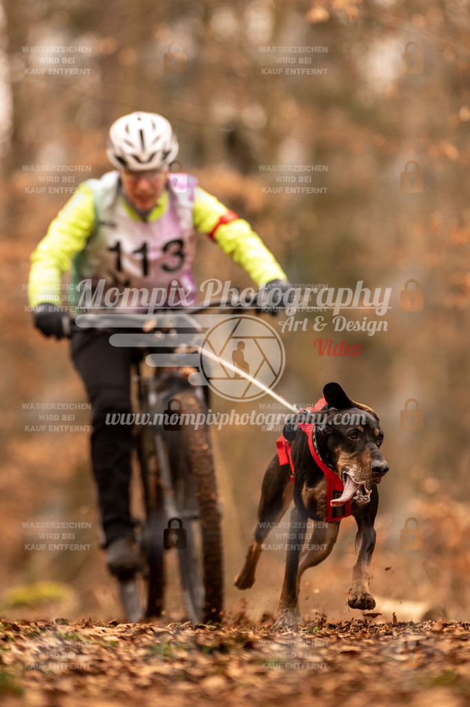 AKM_ST_2023_SAM_Bike-132 | PayLife