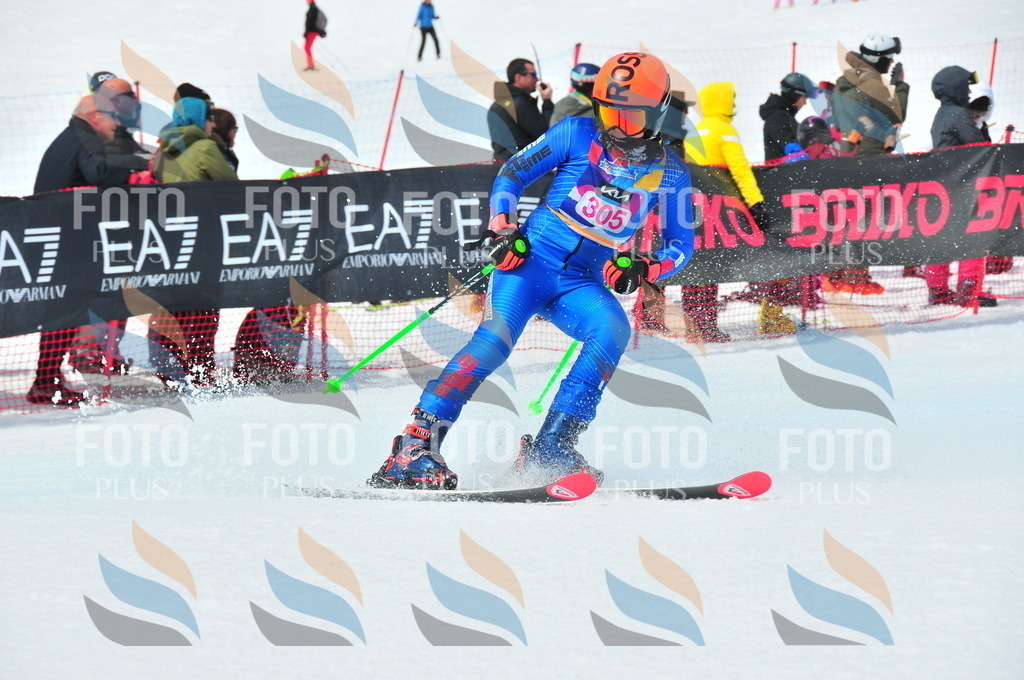 DSC_6579 | holidayphoto