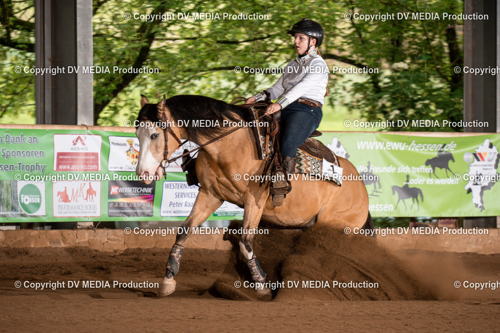 Erbach Tag 2-742 | dv-media-shop - Realisiert mit Pictrs.com