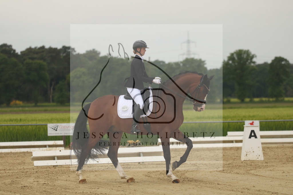 IMG_6577 | jessicahollubetz_pferdephotographie - Realisiert mit Pictrs.com
