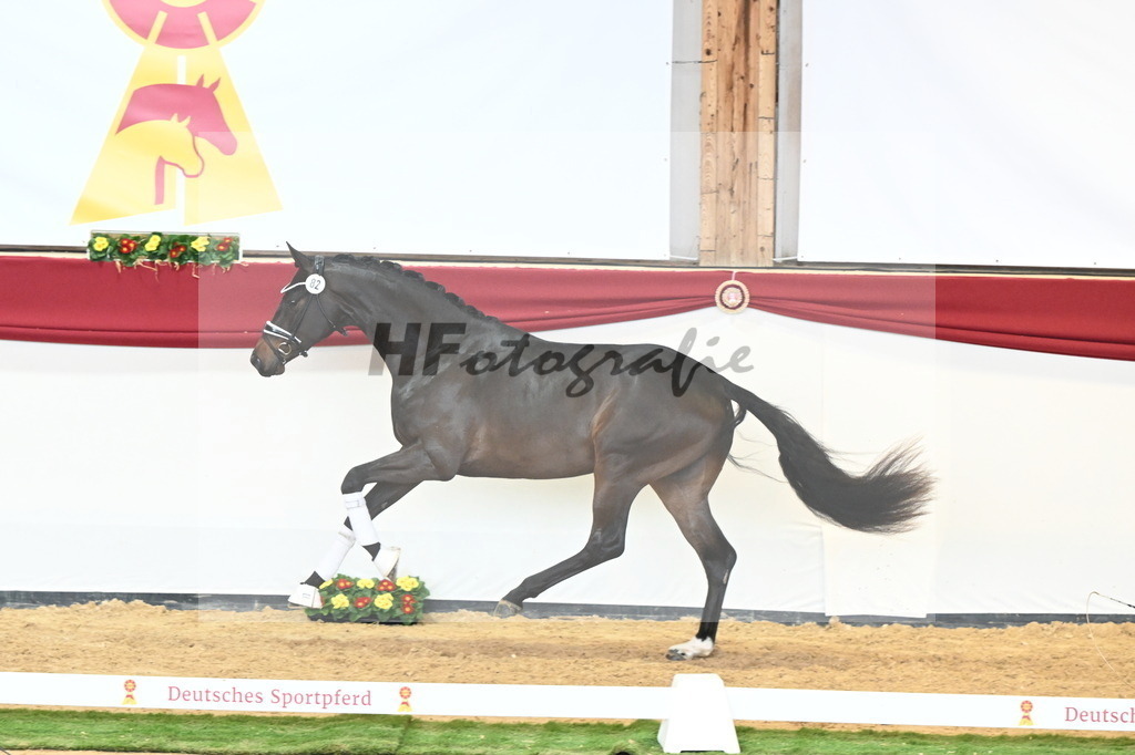 Kat.-Nr. 82 v. Von Und Zu_Berger_2241094 | hf-fotografie - Realisiert mit Pictrs.com