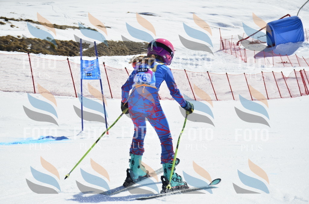 _ELE0375 | holidayphoto