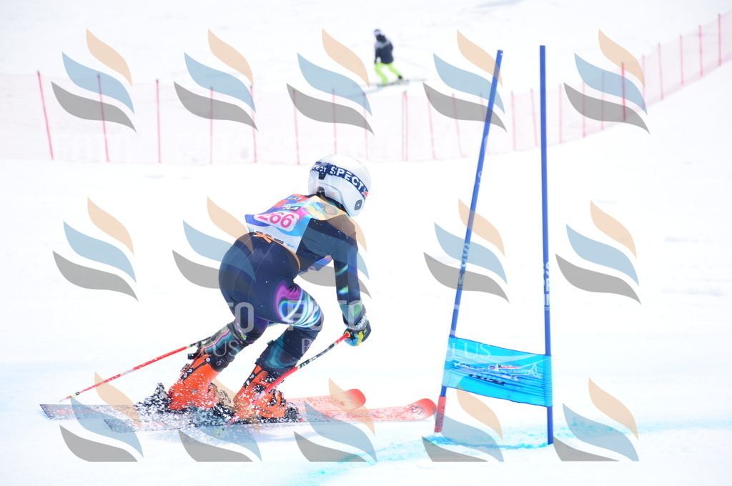 DSC_6381 | holidayphoto