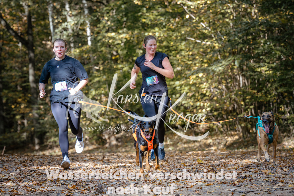 1248_ZZ96310 | kk-dogfotos