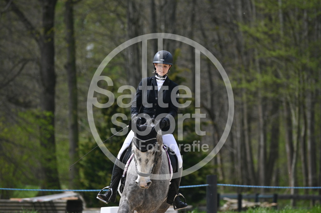 DSC_3481 | sattelsport - Realisiert mit Pictrs.com