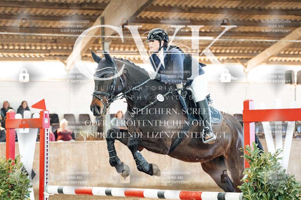 CK904266 | Turnierfotografie Pferdefotografie Trier Rheinland-Pfalz Pferdesport Reitsport Tierfotografie Sportfotografie Pferdevideo Pferdevideografie Equestrianvideography equestrianphotography  - Realized with Pictrs.com