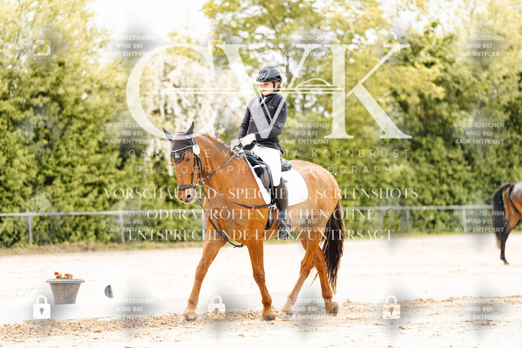 CK902699 | Turnierfotografie Pferdefotografie Trier Rheinland-Pfalz Pferdesport Reitsport Tierfotografie Sportfotografie Pferdevideo Pferdevideografie Equestrianvideography equestrianphotography  - Realisiert mit Pictrs.com