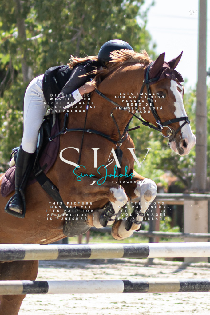 IMG_0113 | s-jay-photography - Realisiert mit Pictrs.com