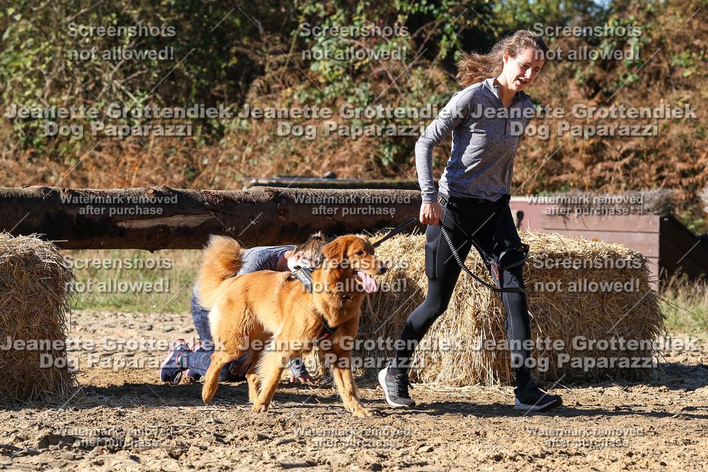 Dog Paparazzi - Strongdog 10-25-2395 | Dog Paparazzi Jeanette Grottendiek Fotografie & Videografie - Realisiert mit Pictrs.com