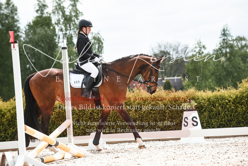 20230518_JK-Röhrsdorf-10-209 | Pferde- und Turnierfotografie in Westsachsen. Pferdeportraits, Auftragszeichnungen und intuitive Kunst.