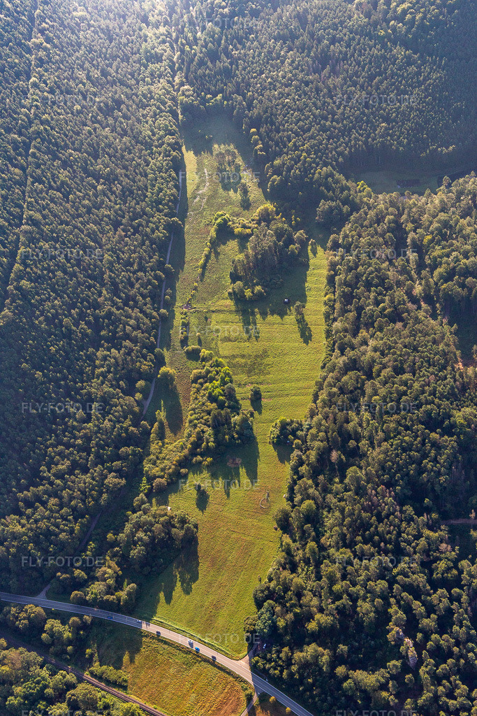 Luftbild: Lichtung im Seebachtal in Hinterweidenthal im Bundesland Rheinland-Pfalz in Deutschland. Foto: IMG_143160.jpg vom 06.08.2024 durch Werner Riehm/FLY-FOTO.de