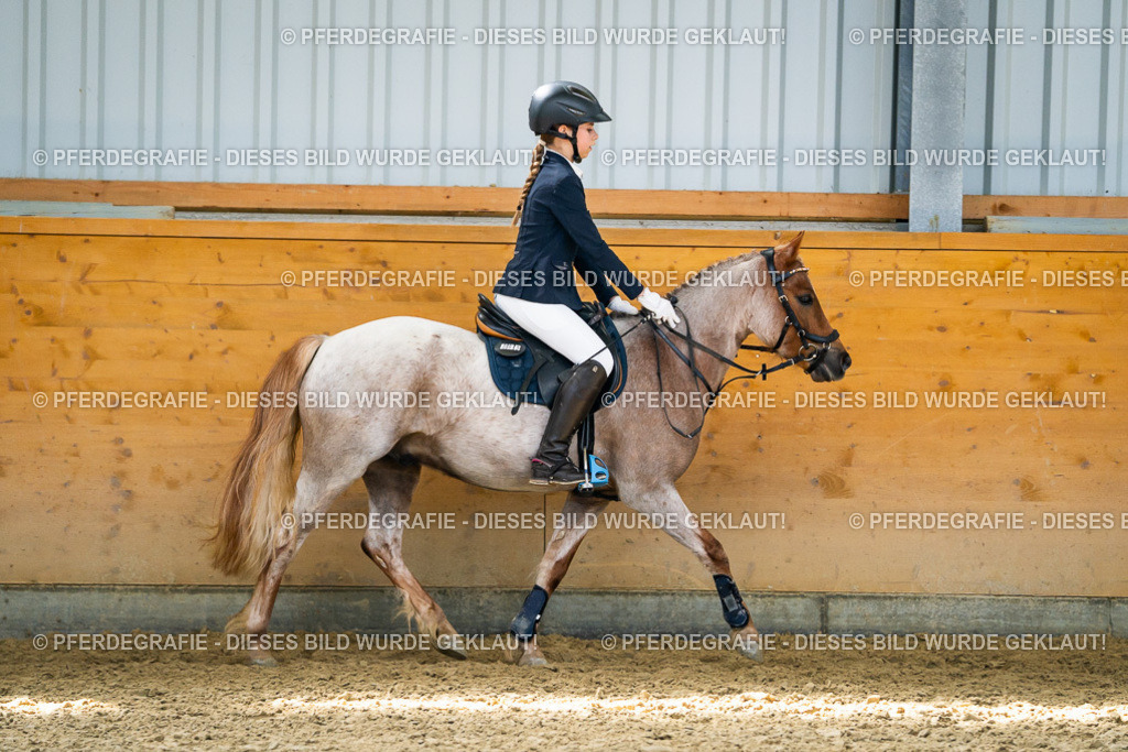 DSC02273 | Pferdegrafie