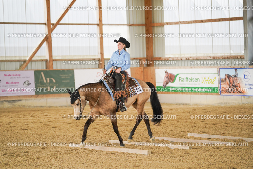 DSC03468 | Pferdegrafie