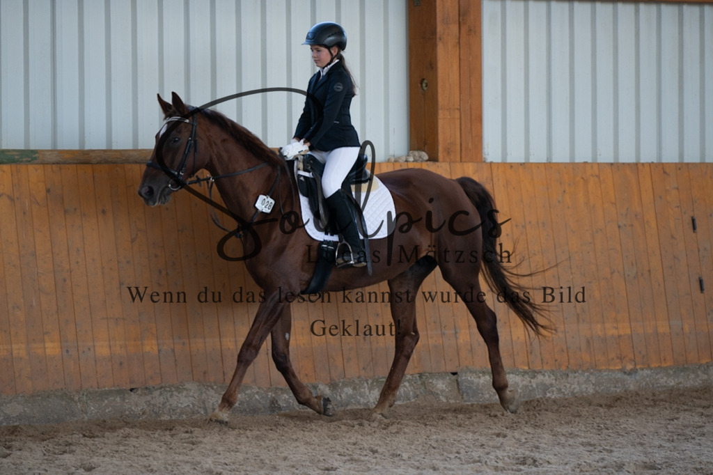 A7V02059 | Turnier/Reitfotograf
