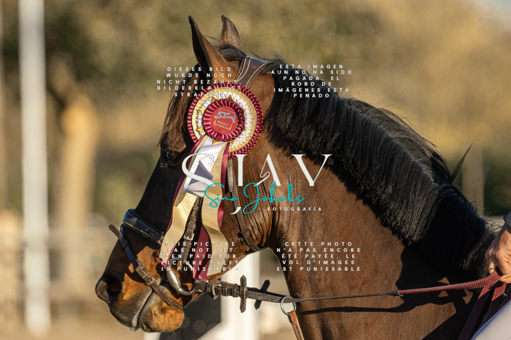 IMG_2763 | s-jay-photography - Realisiert mit Pictrs.com