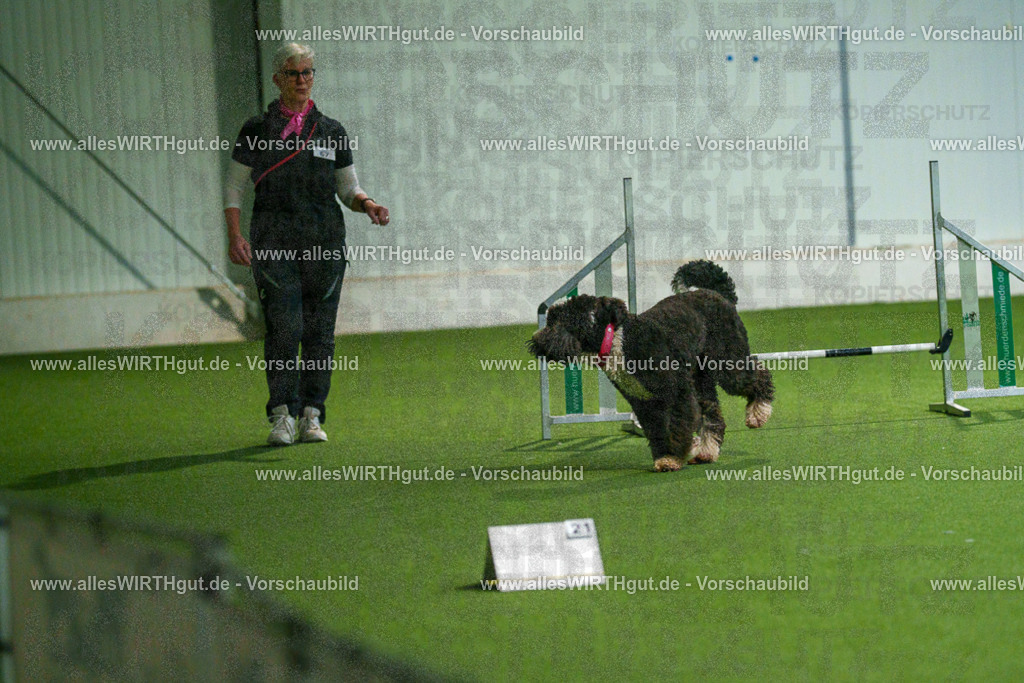 7R508094 | Professionelle Tierfotografie in Mönchengladbach von Daniel Wirth (allesWIRTHgut). Liebevolle & natürliche Bilder von Hunden & Katzen für unvergessliche Erinnerungen.