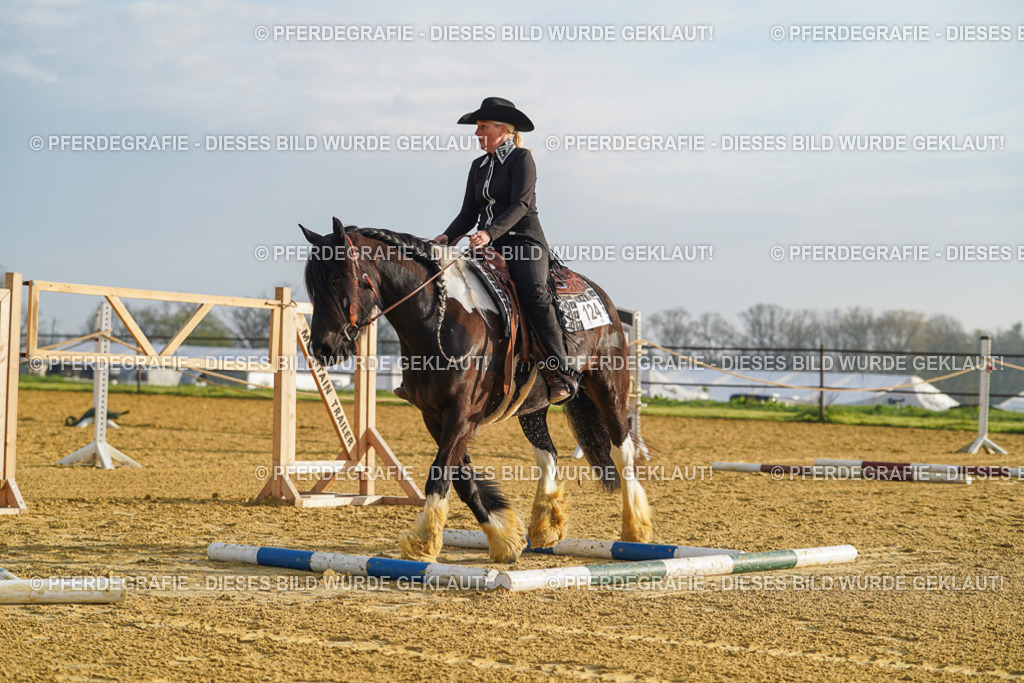 DSC09941 | Pferdegrafie