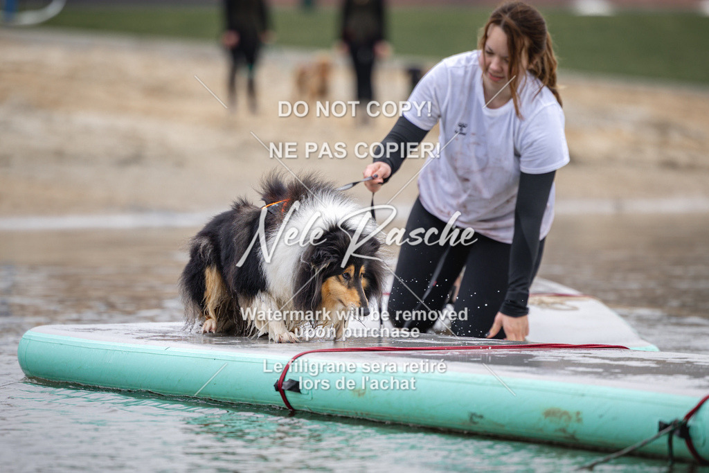 nelerasche_Hulsbeek_Sa1130-1230_384 | nelerasche