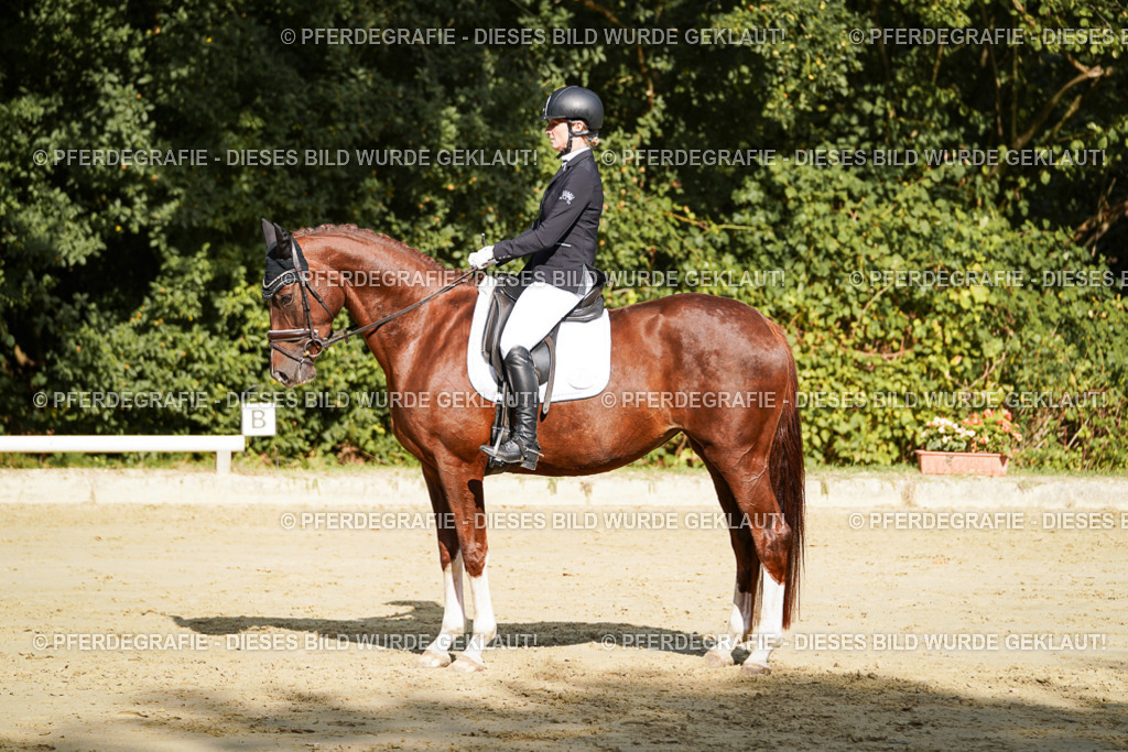 DSC08694 | Pferdegrafie